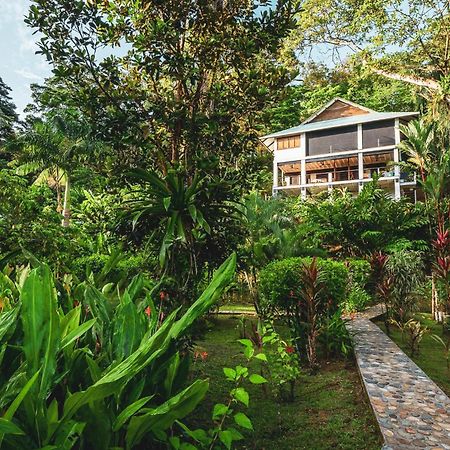 Roam Yoga & Wellness Lodge Bocas del Toro Extérieur photo