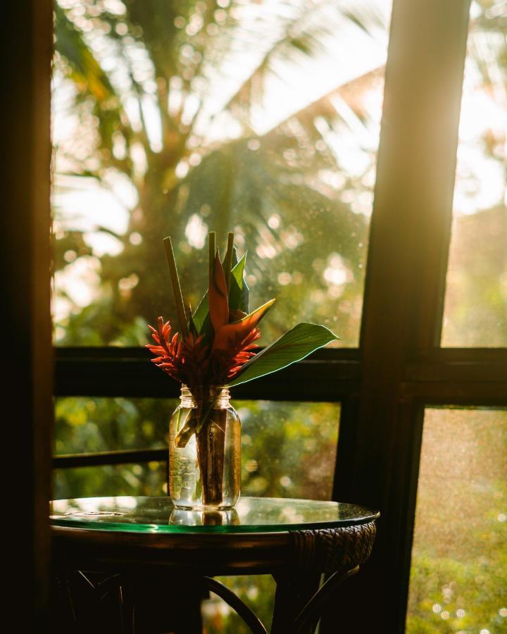 Roam Yoga & Wellness Lodge Bocas del Toro Extérieur photo
