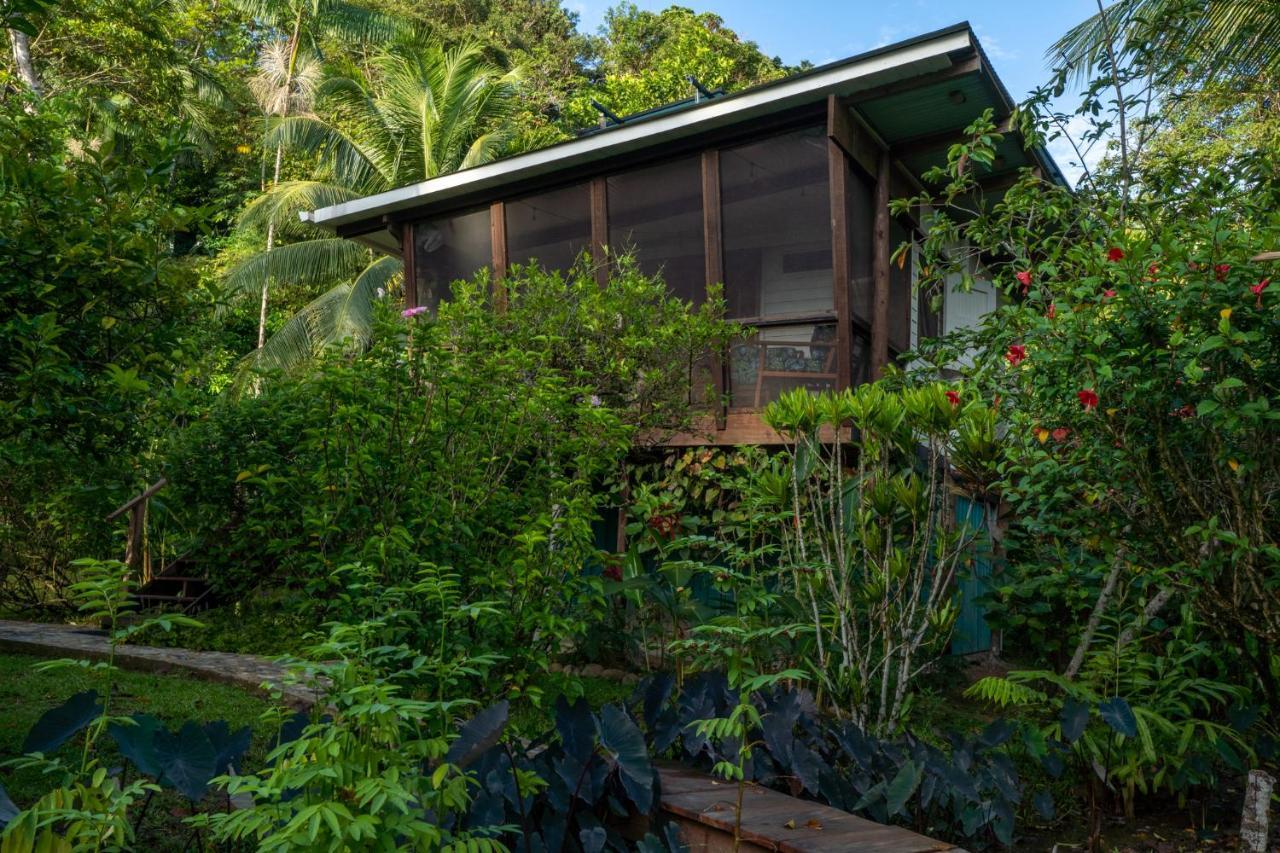 Roam Yoga & Wellness Lodge Bocas del Toro Extérieur photo