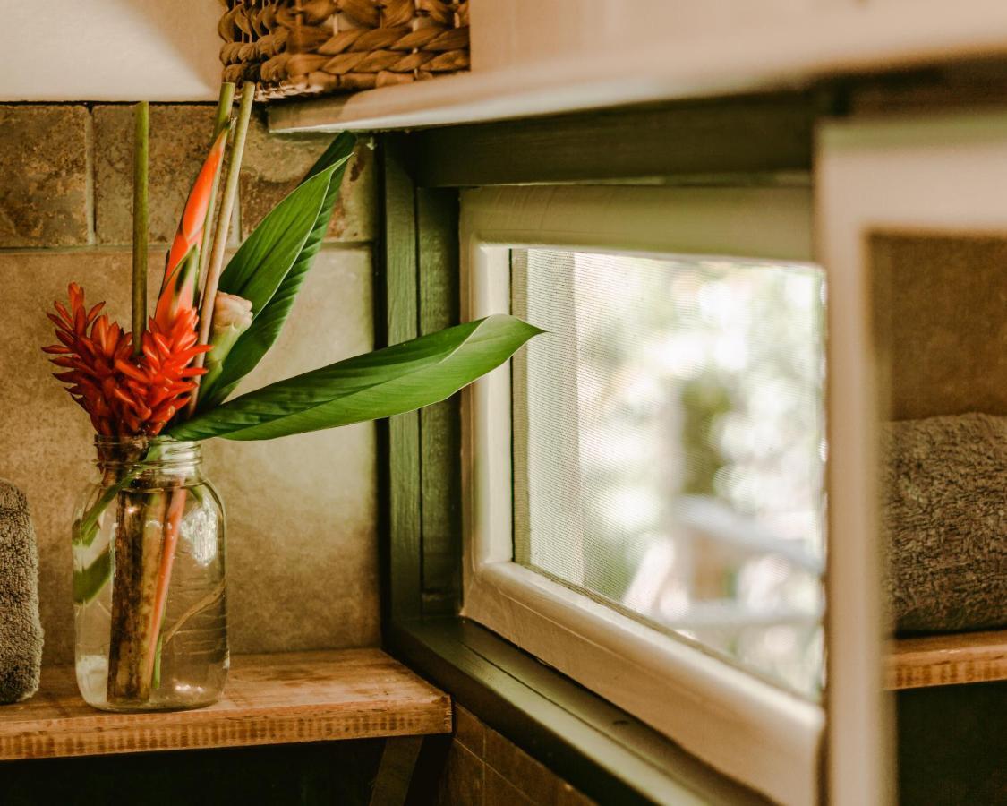 Roam Yoga & Wellness Lodge Bocas del Toro Extérieur photo