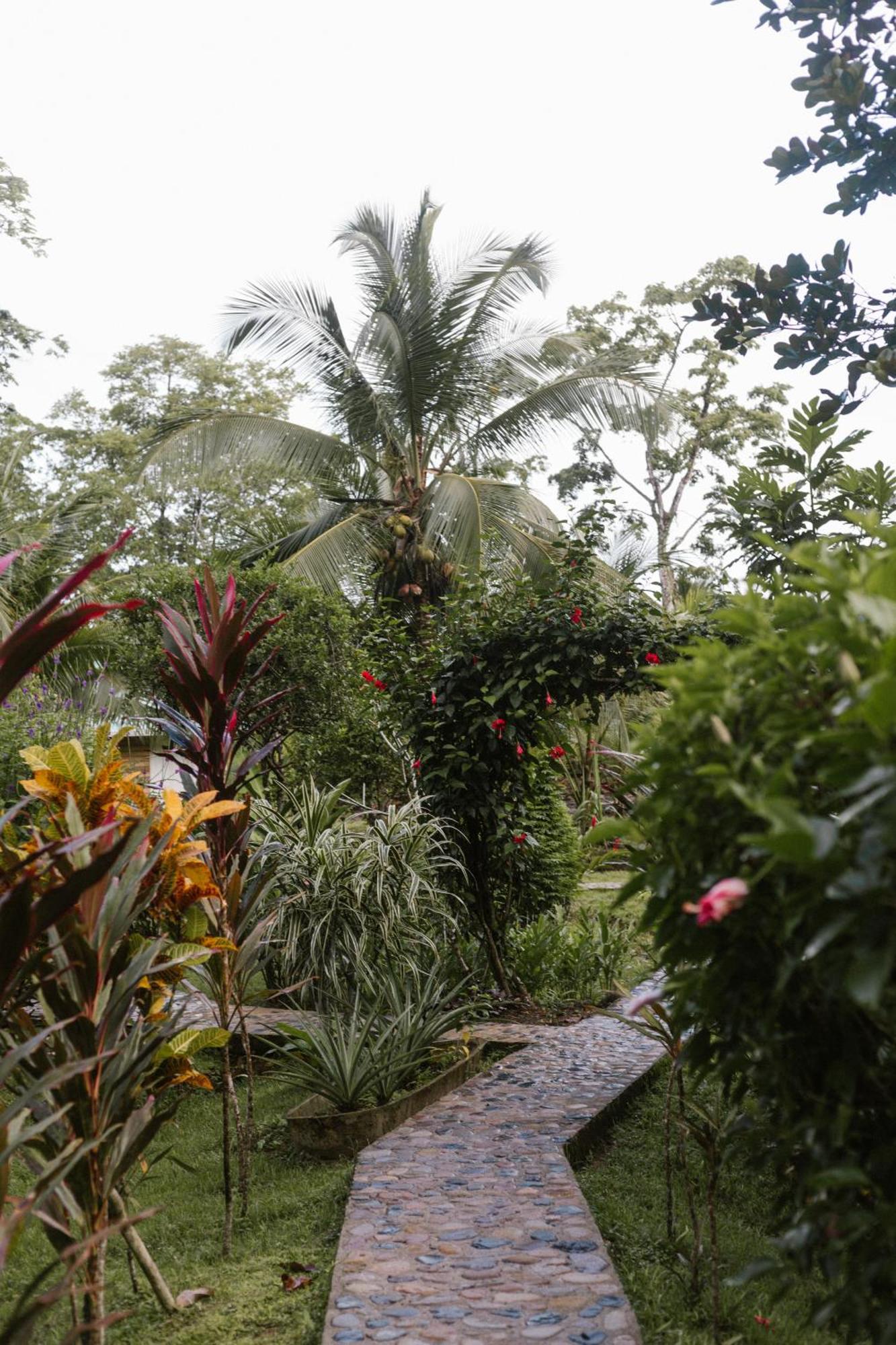 Roam Yoga & Wellness Lodge Bocas del Toro Extérieur photo