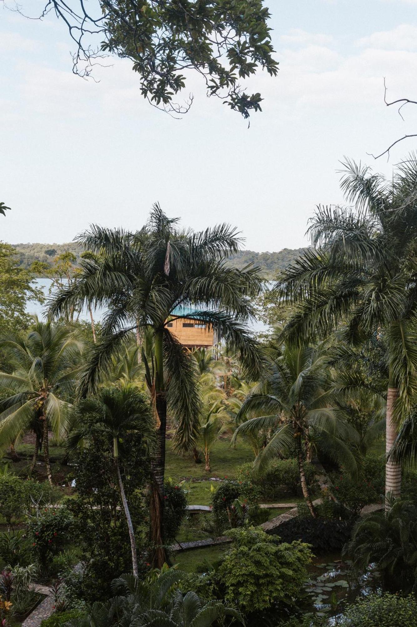 Roam Yoga & Wellness Lodge Bocas del Toro Extérieur photo