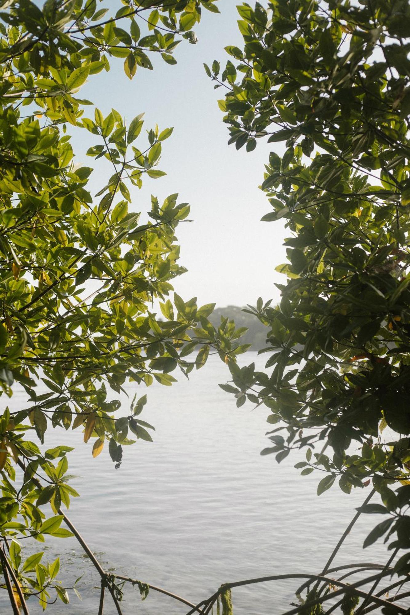 Roam Yoga & Wellness Lodge Bocas del Toro Extérieur photo