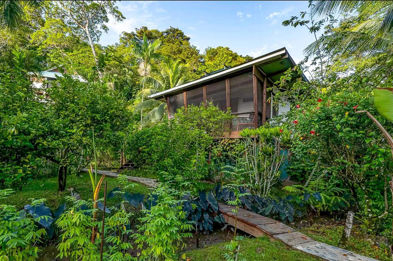 Roam Yoga & Wellness Lodge Bocas del Toro Extérieur photo