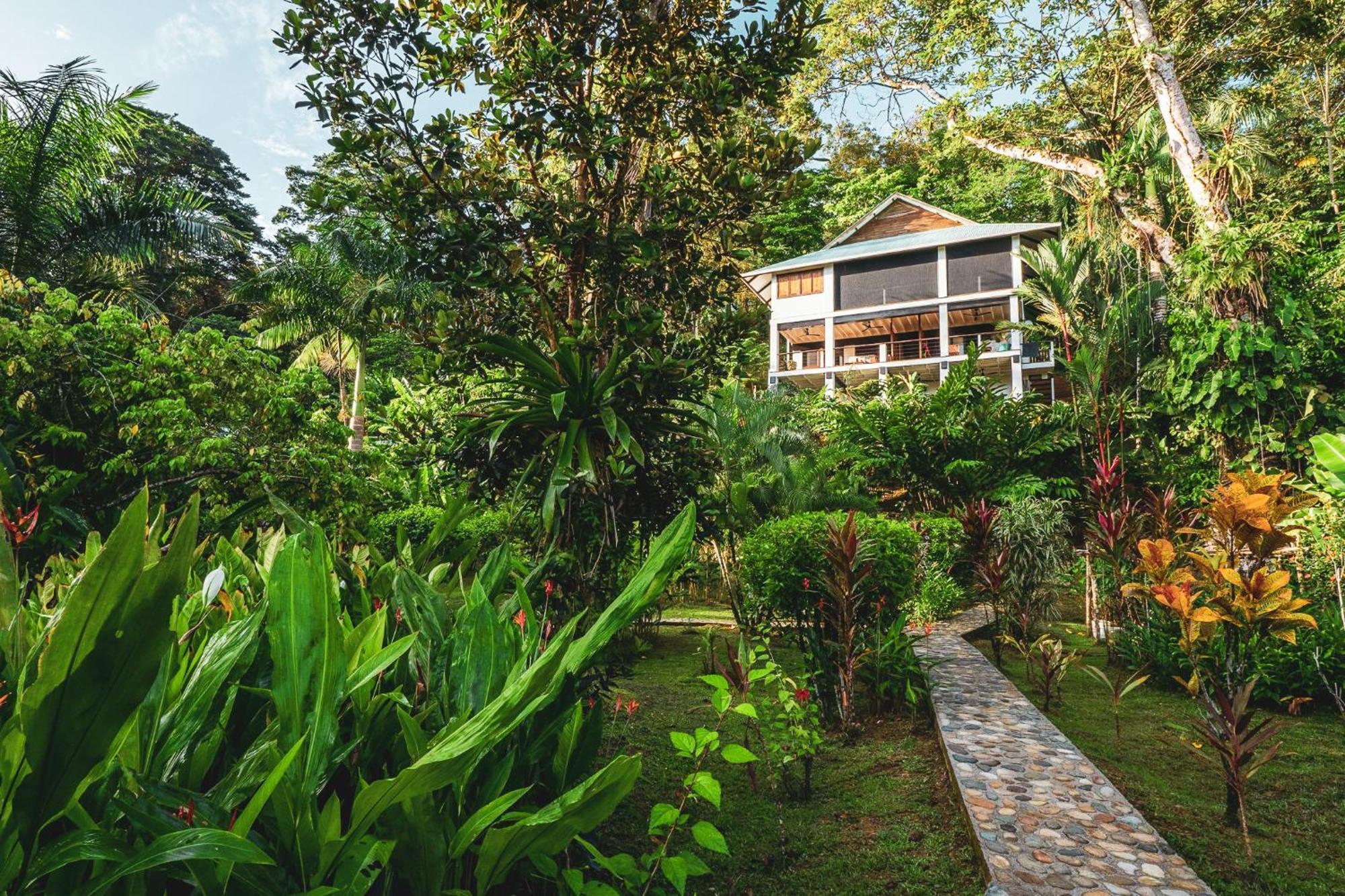 Roam Yoga & Wellness Lodge Bocas del Toro Extérieur photo