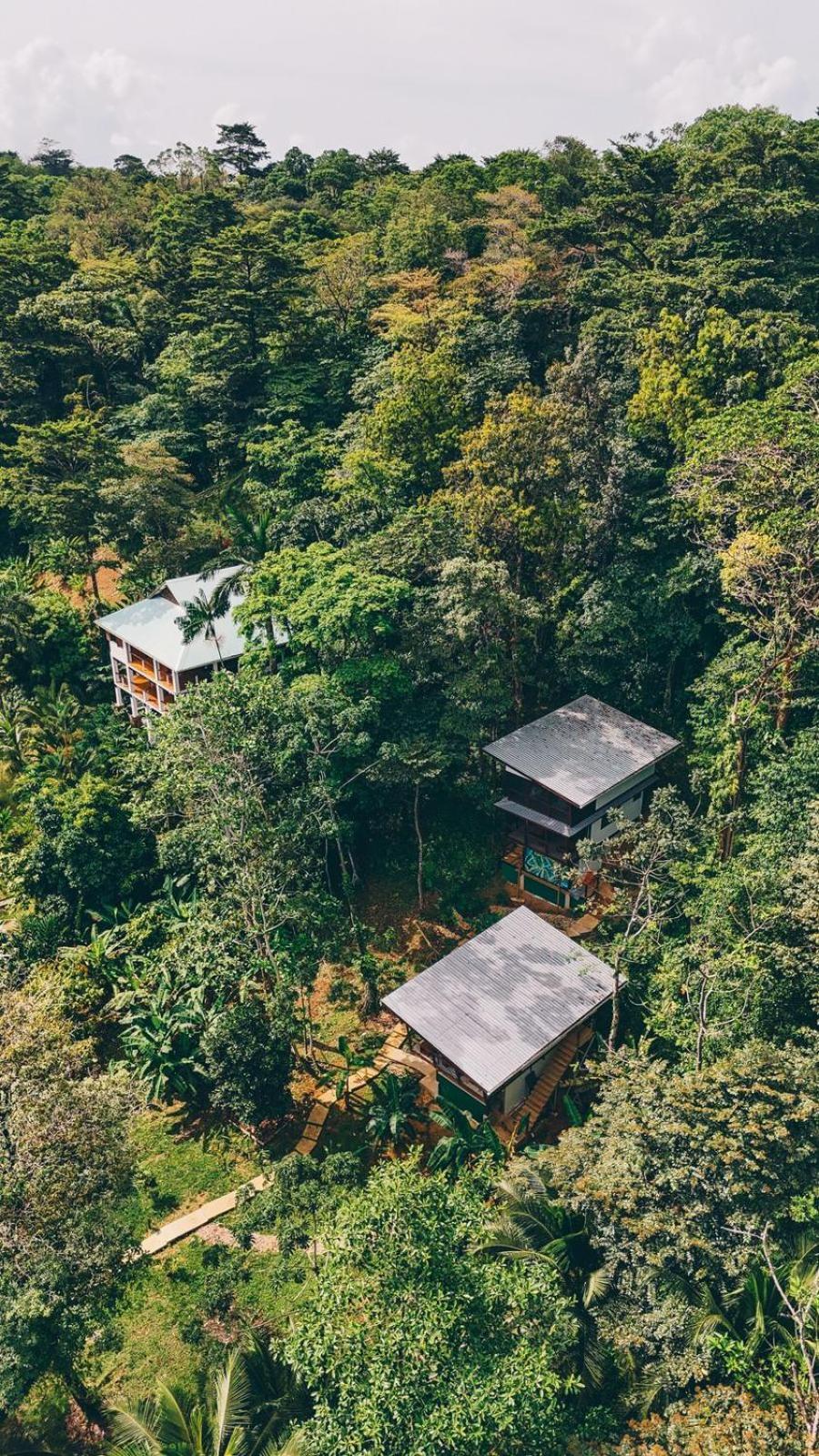 Roam Yoga & Wellness Lodge Bocas del Toro Extérieur photo